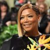 Queen Latifah Biopic in the Works Produced by Herself & Will Smith