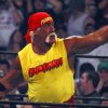 Hulk Hogan Claims He Turned Down Advances From Two Pop Music Icons