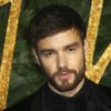 Video Liam Payne’s pop music legacy