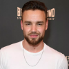 Call to prevent under-18s from joining pop bands after Liam Payne’s tragic death