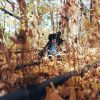 billy woods : Golliwog | Album review