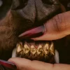 Leon Thomas Breeds More Hits & Collaborations In “Mutt: HEEL”