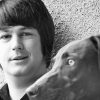 Brian Wilson: NPR’s interviews, concerts and appreciations