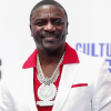 Locked Up: Why R&B Star Akon Was Just Taken Into Custody