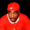 Tupac Shakur Was Forged in a Revolutionary Political Culture